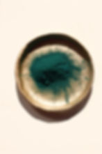 polvere verde 1.jpg