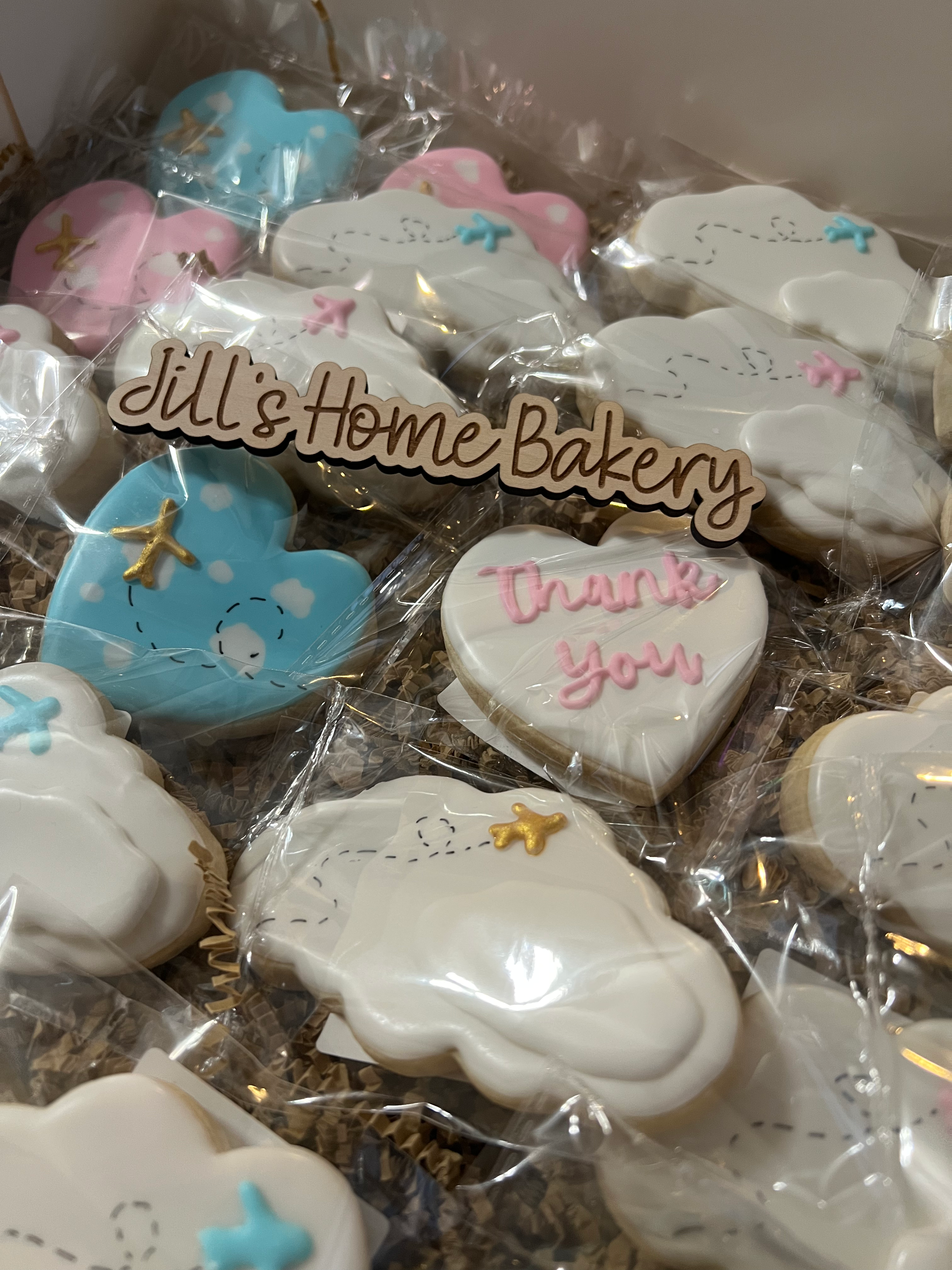 Airplane Gender Reveal Custom Sugar Cookies