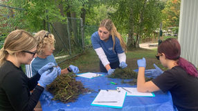 Catching up with the Great Lakes Plastic Cleanup in the Lake Simcoe Region