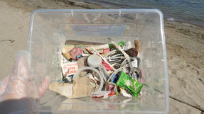 Circular Materials Announces Collaboration with Pollution Probe for the Ontario 2026 Great Lakes Plastic Cleanup