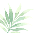 Tropical%20Leaves%202_edited.png