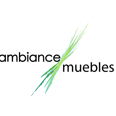 Ambience Muebles