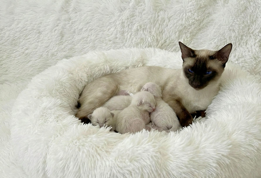 Facetune_22-02-2026-09-14-01 copy 2_edited.jpg