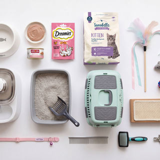 Siamese kitten essentials checklist — what to buy before your kitten comes home — The House of Siamese