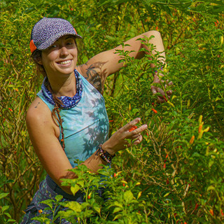 Hana Farms Work-trader