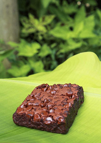 Hanafarmsbakerybrownie.jpeg