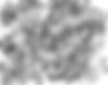 IMG_2763.jpeg