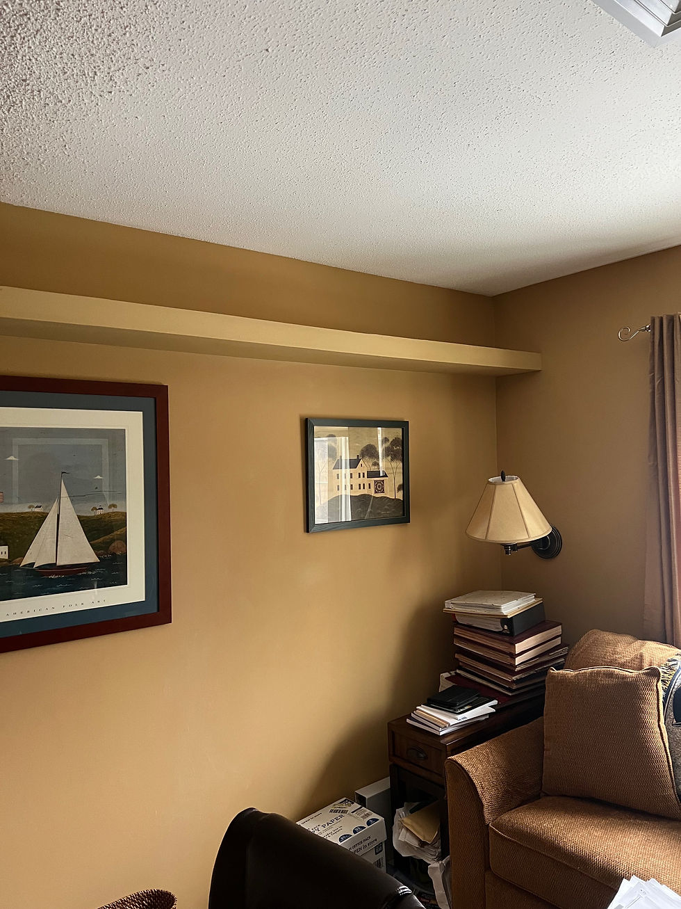 Floating shelve and scuff board