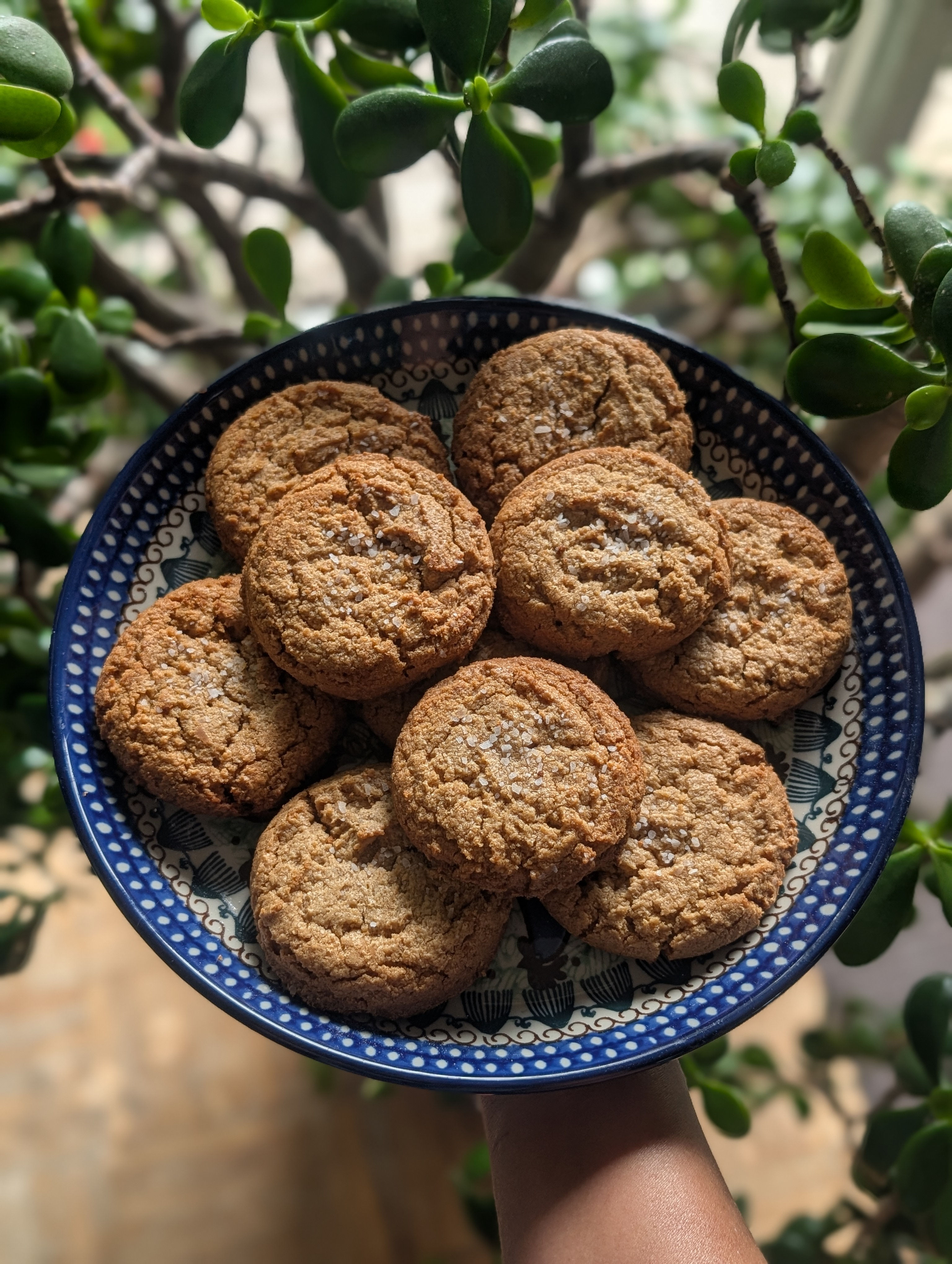 Sea Salt PB Cookies