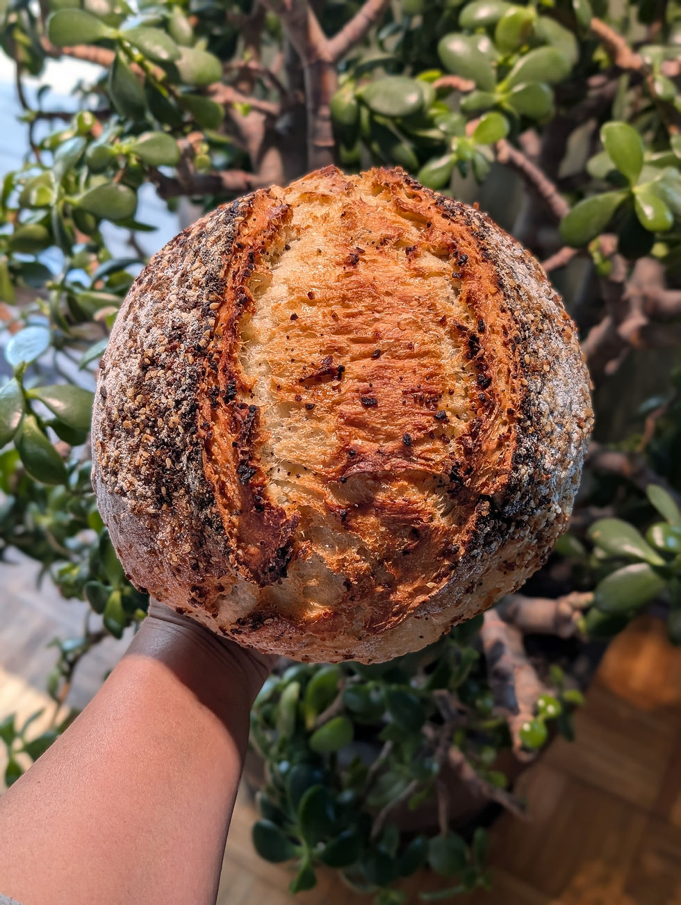 Thumbnail: Fresh Bread: Everything Bagel