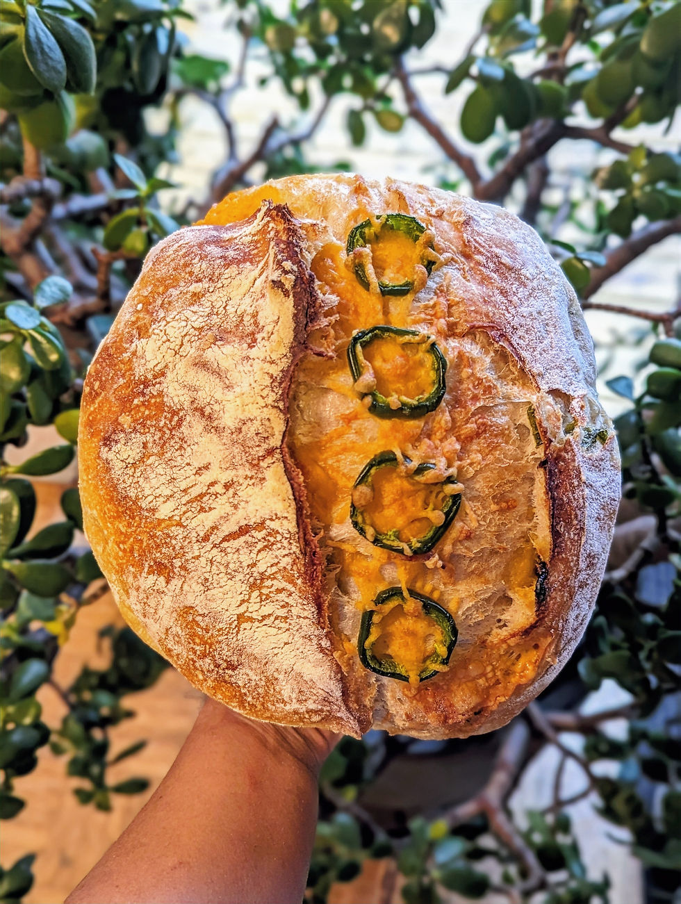 Thumbnail: Fresh Bread: Jalapeno Cheddar