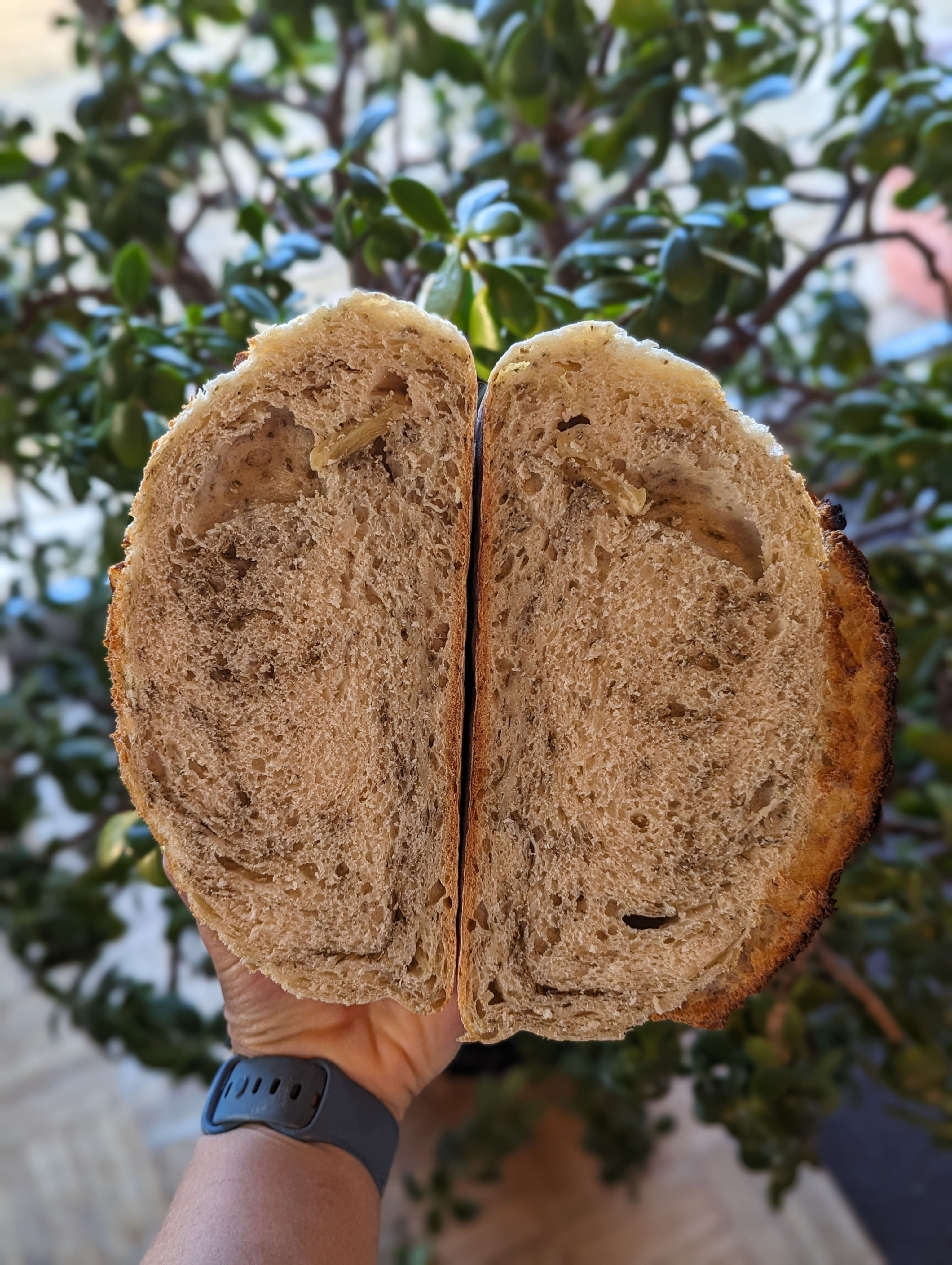 Fresh Bread: Garlic & Herbs