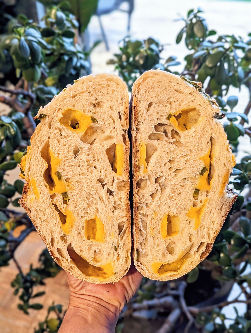 Thumbnail: Fresh Bread: Jalapeno Cheddar