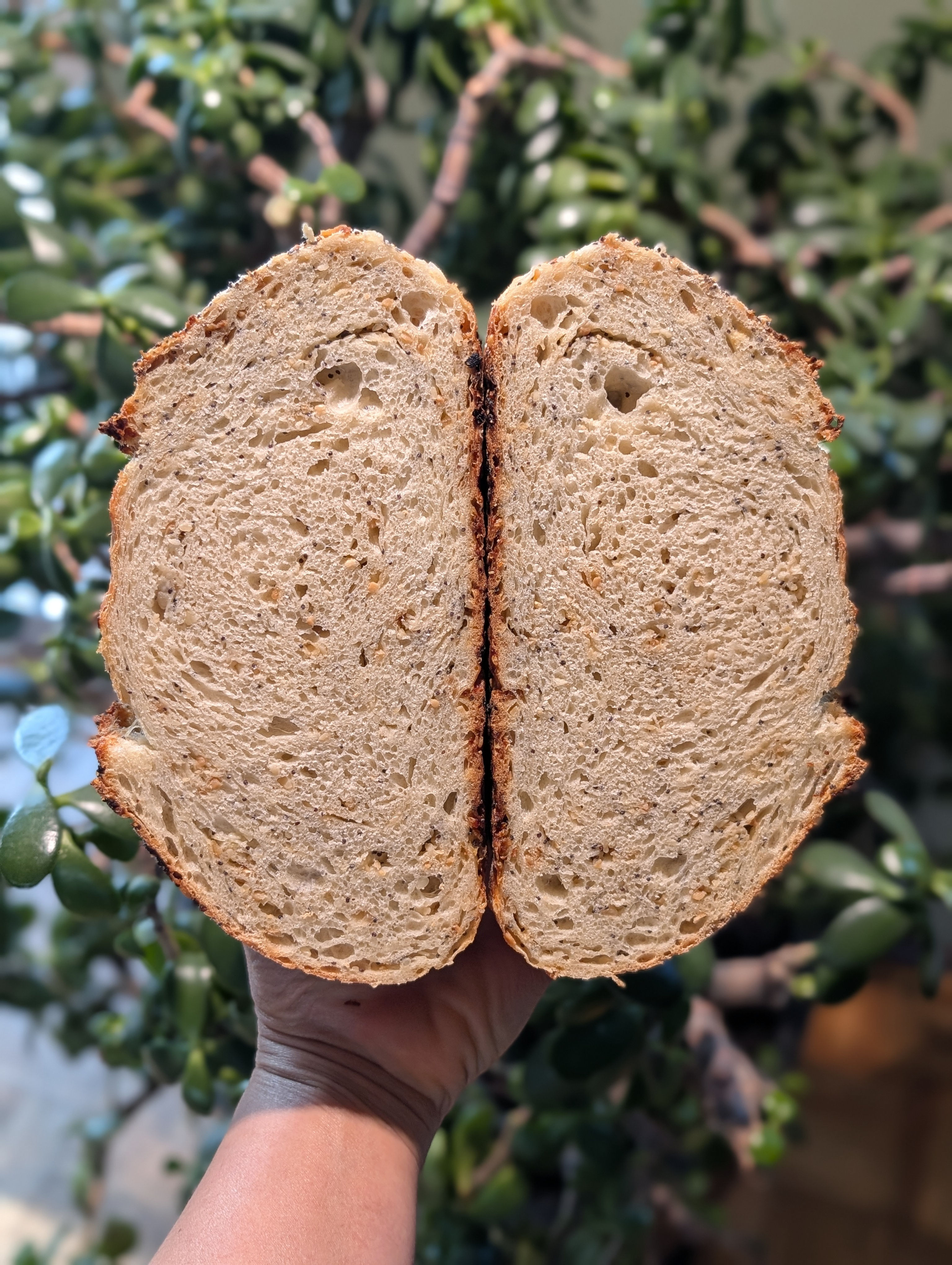 Fresh Bread: Everything Bagel