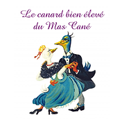 mas cané.webp