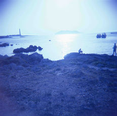 NEL PORTO DELLA POESIA