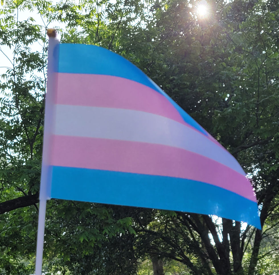 Thumbnail: Mini Pride Flags