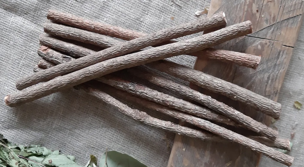 What trees are safe for budgie perches?