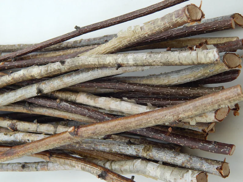 What trees are safe for budgie perches?