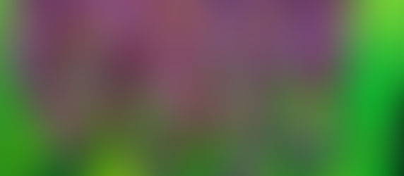 Experimenting on a small canvass, inspired by orchids!