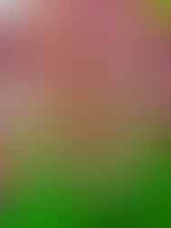 tiêu đề: Nhịp điệu sống động　30cm x 40cm