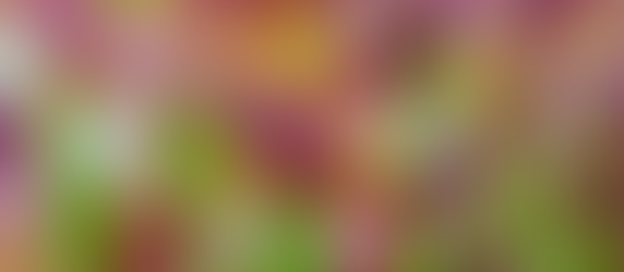 tiêu đề: Nhịp điệu sống động　30cm x 40cm