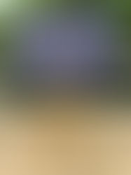 月光さくら