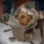 Thumbnail: Eberlestock Jacknife (EDC)