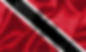 CRVDC Launch in Trinidad & Tobago