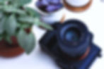 A DSLR camera facing up on a table next to a table plant