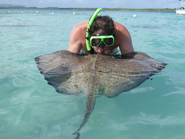 Untitled design (4).png