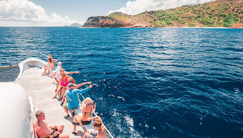 excellence-catamaran.jpg