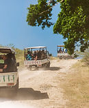 open back safari 8 askibaantigua.jpg