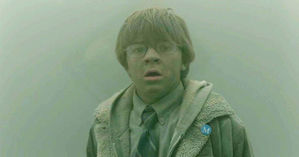 The Goldfinch ★★★