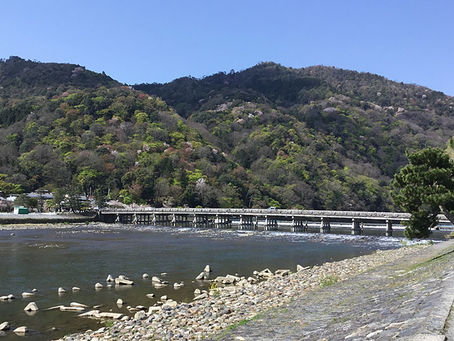 暗闇の中の民主主義