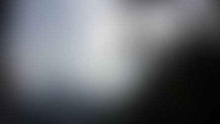 Silhouettes Of Bliss