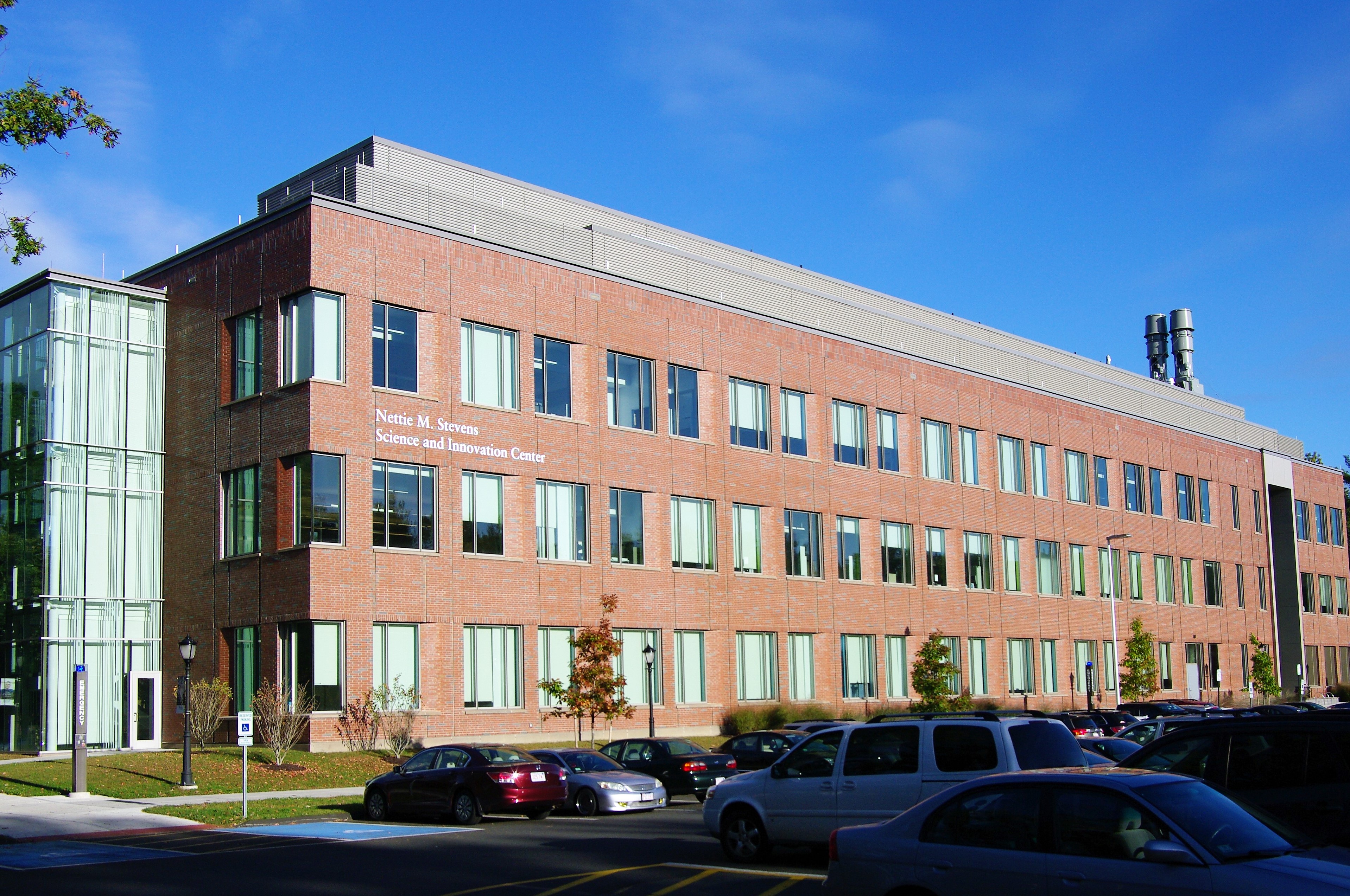 WEBSITE 2.jpg