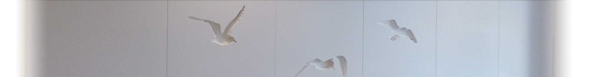 スクリーンショット 2021-01-16 104019.gif