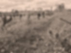 Biodynamischer Burgunder Wein