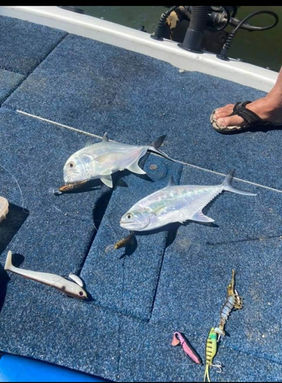 Two trevally fish with lures still attached lying on a blue boat floor, next to fishing tackle