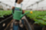 Mindful Gardening