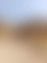 مشهد إخوة يوسف