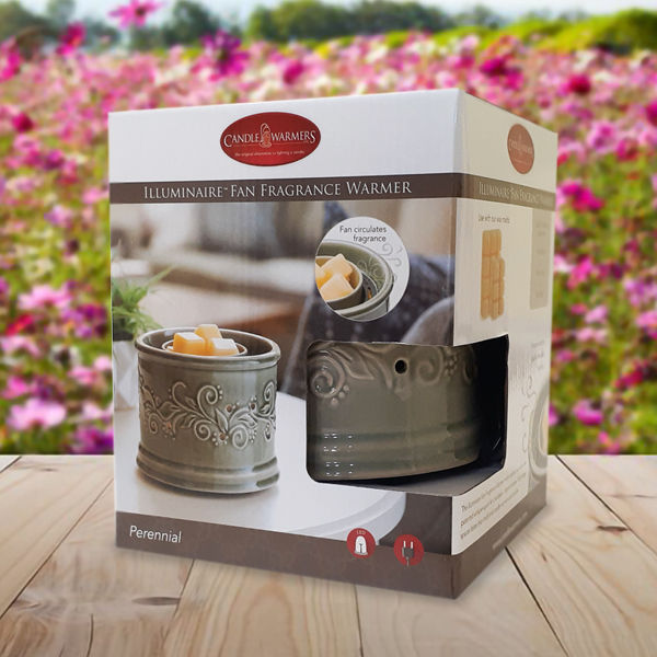 Soy Melts Warmer - Perennial