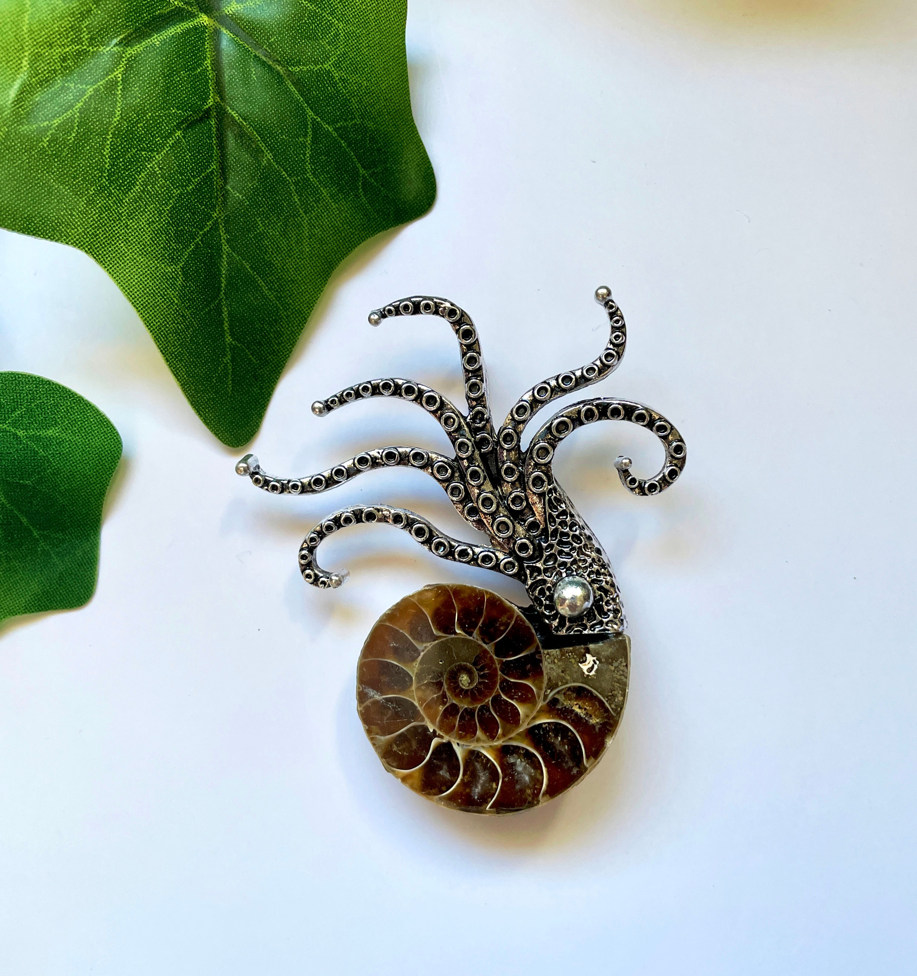 Broche/Pingente Amonita