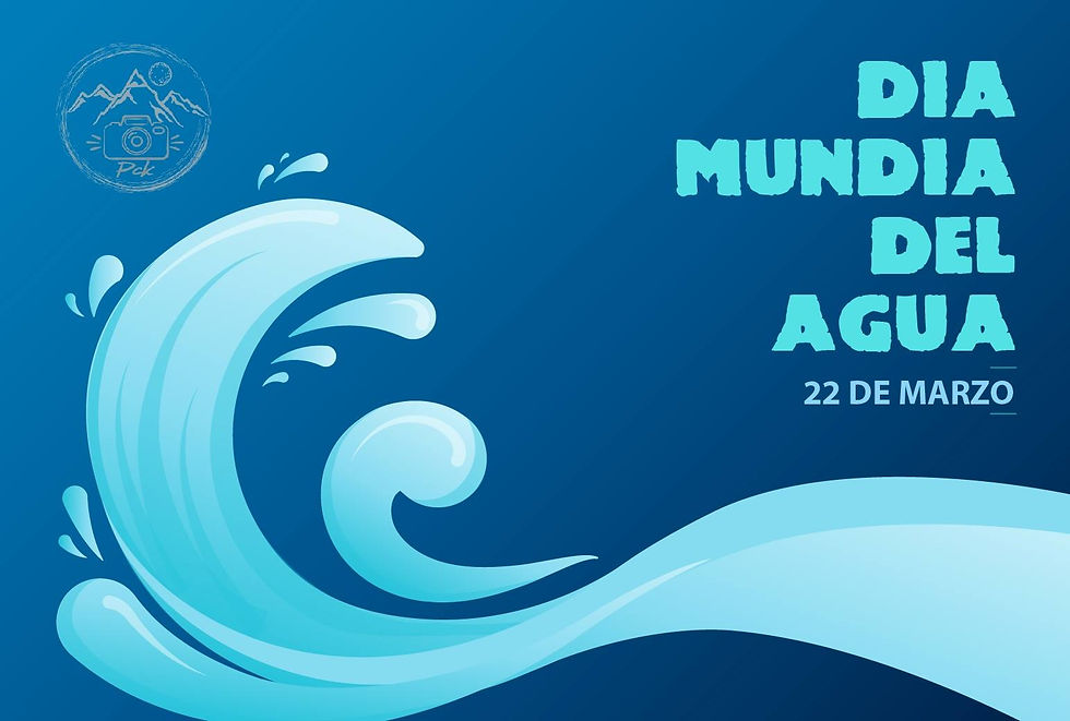 dia mundiadelagua