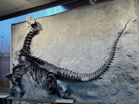 Vernal, Utah: Dinosaurs, Ghosts, and a Snake That Tried to End Me