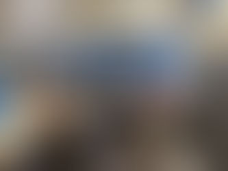 Final Step: Integrating Pets and Workspace into the Airstream for Full-Time Travel