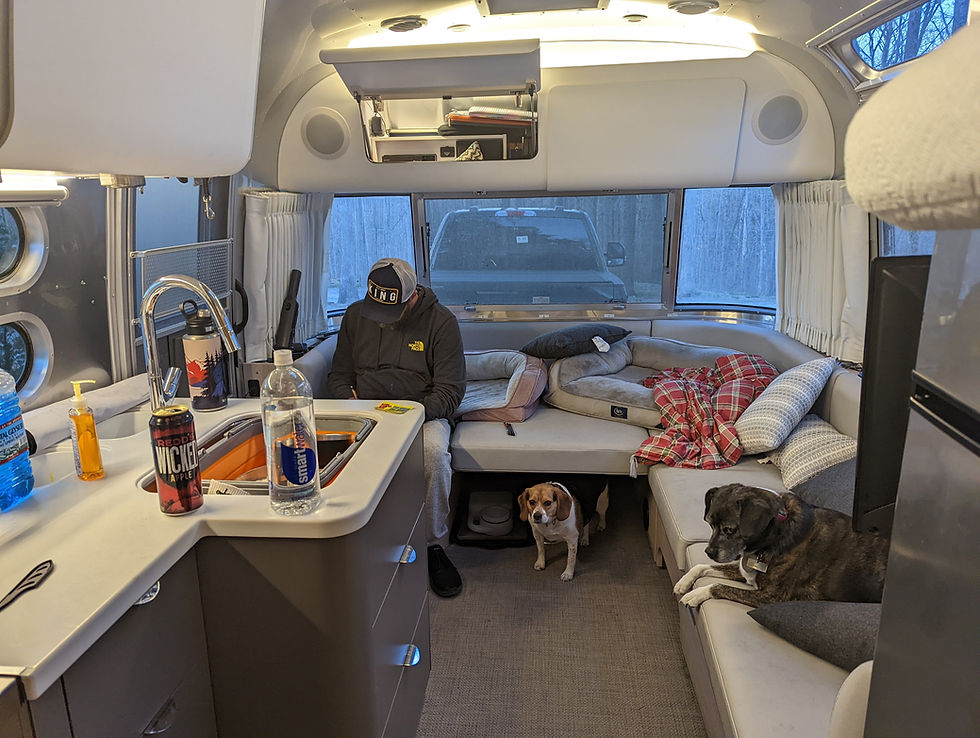 Person in an Airstream with dogs resting on a sofa, surrounded by a white and gray interior. Beverage cans and bottles on the counter.