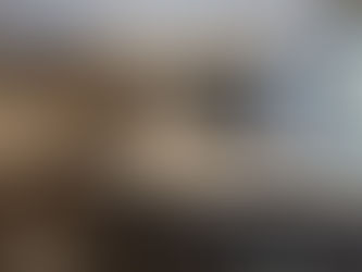 Downsizing Dilemmas: From 4,000 Sq Ft House to 28 Foot Airstream