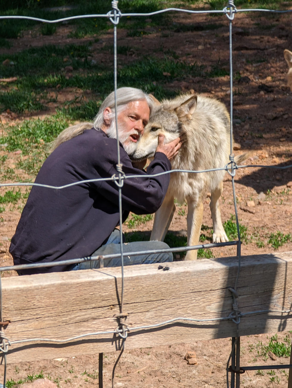 Man with long gray hair affectionately hugs a wolf behind a wire fence in a grassy outdoor setting, conveying a sense of calm and bond.